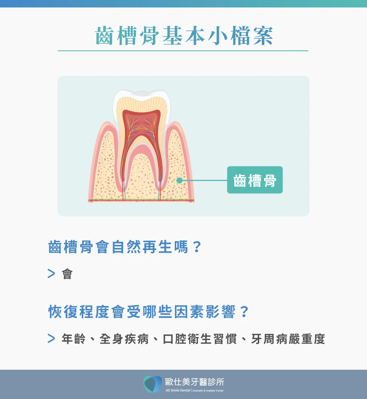 齒槽骨位置示意圖